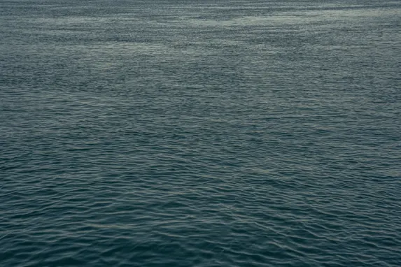 Casino Jackpot Molly Ënnerstëtzung